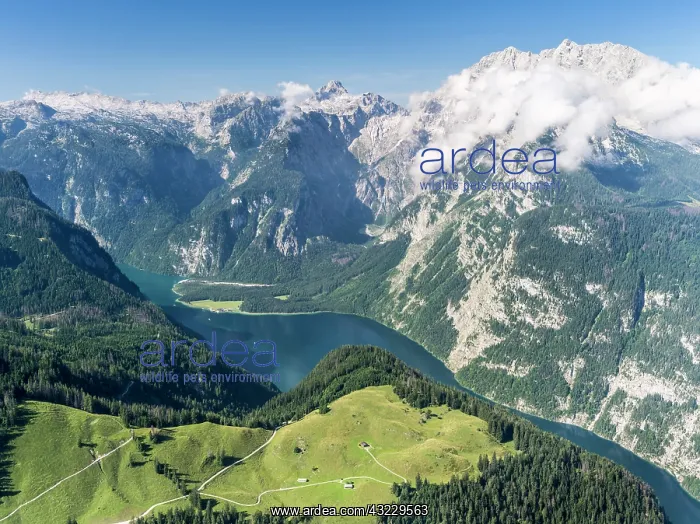 : Berchtesgaden Alps, view from Mt. Jenner : Berchtesgaden Alps, view from Mt. Jenner