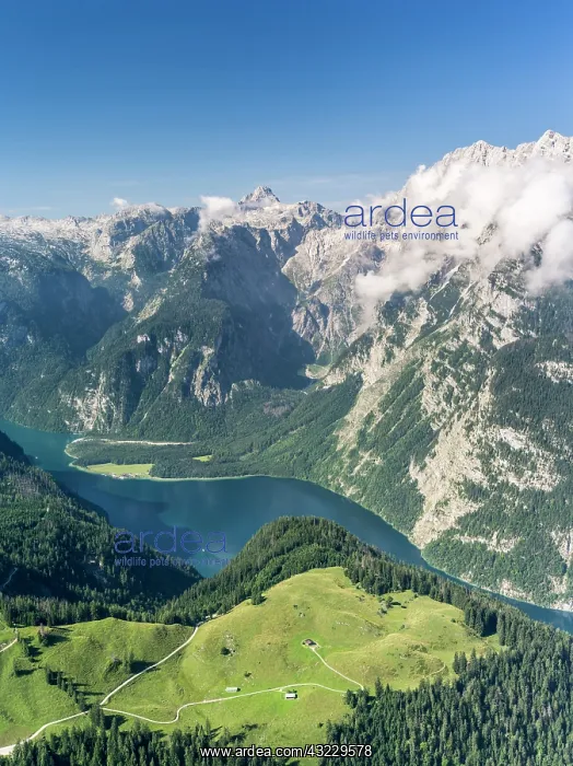 : Berchtesgaden Alps, view from Mt. Jenner : Berchtesgaden Alps, view from Mt. Jenner