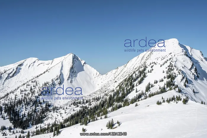 : Berge im Winter, Blick auf Vorderlahner Kopf und : Berge im Winter, Blick auf Vorderlahner Kopf und