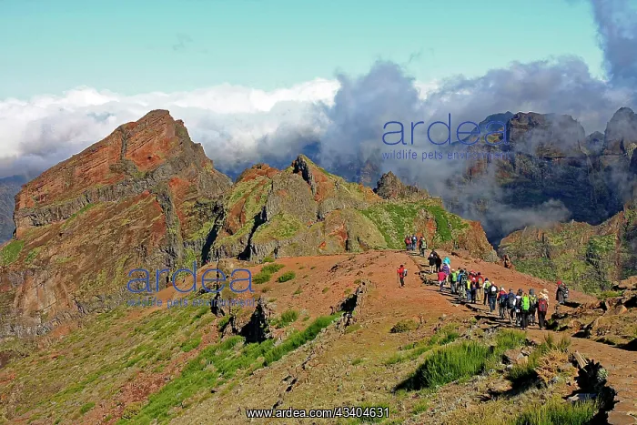 : Berge, Pico Arieiro, Wanderweg zum Pico Ruivo (1862) : Berge, Pico Arieiro, Wanderweg zum Pico Ruivo (1862)