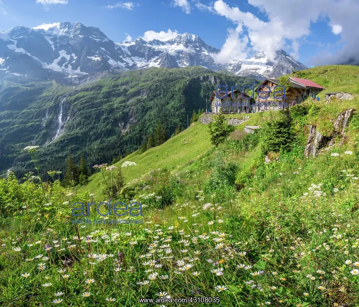 : Berghotel Obersteinberg, Lauterbrunnen, Bernese : Berghotel Obersteinberg, Lauterbrunnen, Bernese