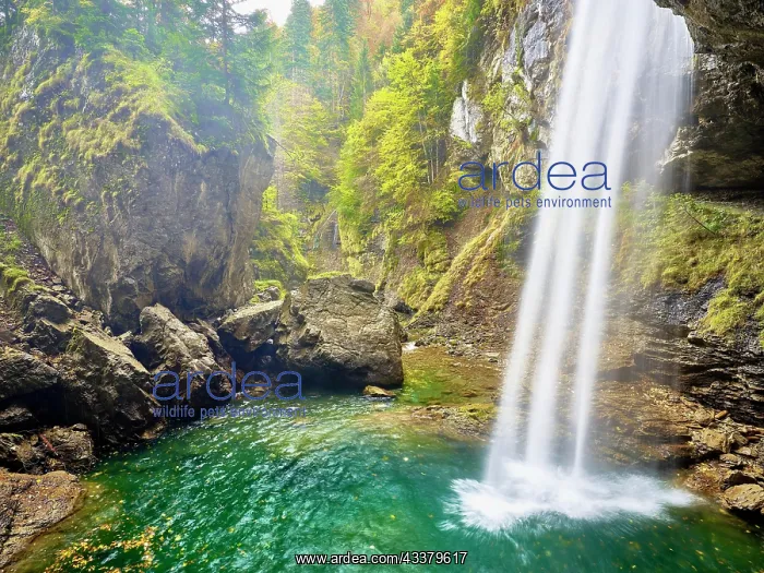 : Berglistaber waterfall, Linthal, Canton Glarus : Berglistaber waterfall, Linthal, Canton Glarus