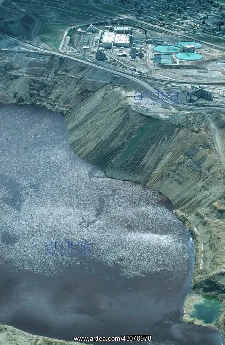 : Berkeley Pit Superfund Site : Berkeley Pit Superfund Site