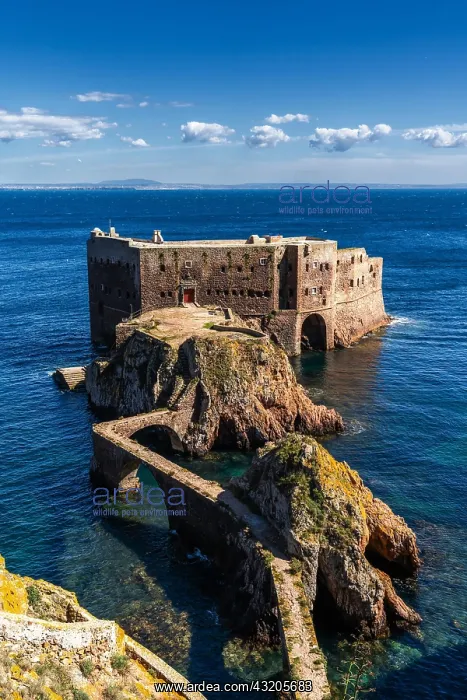 : Berlenga, Portugal - 3 April, 2022:vertical view : Berlenga, Portugal - 3 April, 2022:vertical view
