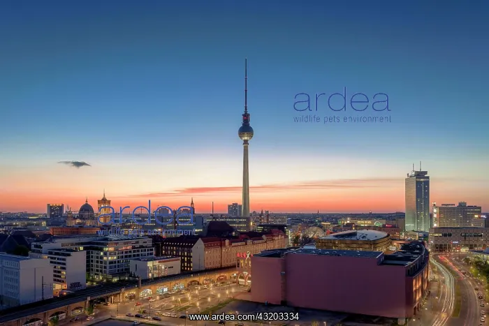 : Berlin-Mitte with Alexanderplatz square, the Berlin : Berlin-Mitte with Alexanderplatz square, the Berlin