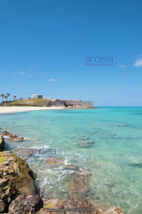 : Bermuda. Gate's Bay (Saint Catherine's Beach) : Bermuda. Gate's Bay (Saint Catherine's Beach)