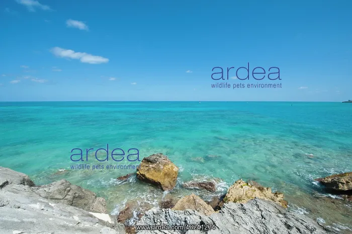 : Bermuda. Gates Fort Park and fort : Bermuda. Gates Fort Park and fort