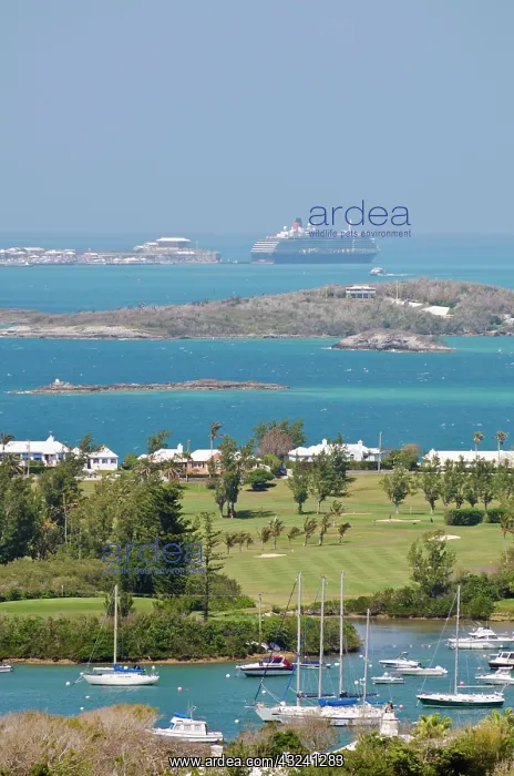 : Bermuda. Looking out over Great Sound and : Bermuda. Looking out over Great Sound and