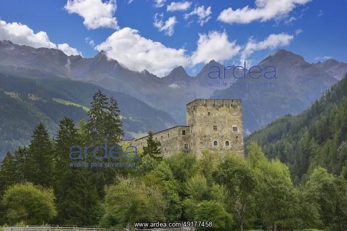 : Berneck Castle in the Kaunertal : Berneck Castle in the Kaunertal