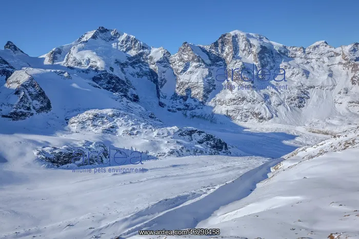 : Bernina Glaciers - Pers Glacier and Morteratsch Glacier flow : Bernina Glaciers - Pers Glacier and Morteratsch Glacier flow