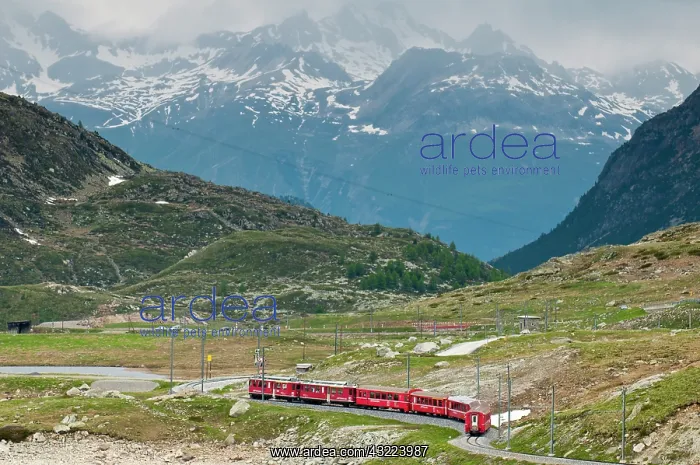 : Bernina Pass, Switzerland : Bernina Pass, Switzerland