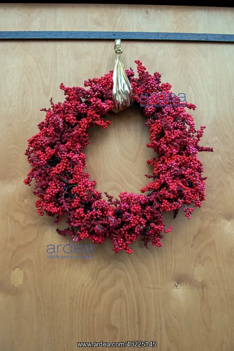 : Berry holiday wreath at the Christmas market : Berry holiday wreath at the Christmas market