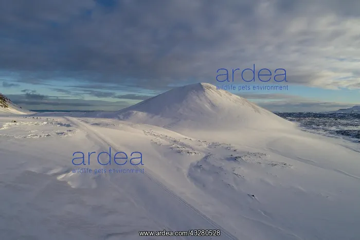 : Berserkjahraun, snow covered lava field with crater : Berserkjahraun, snow covered lava field with crater
