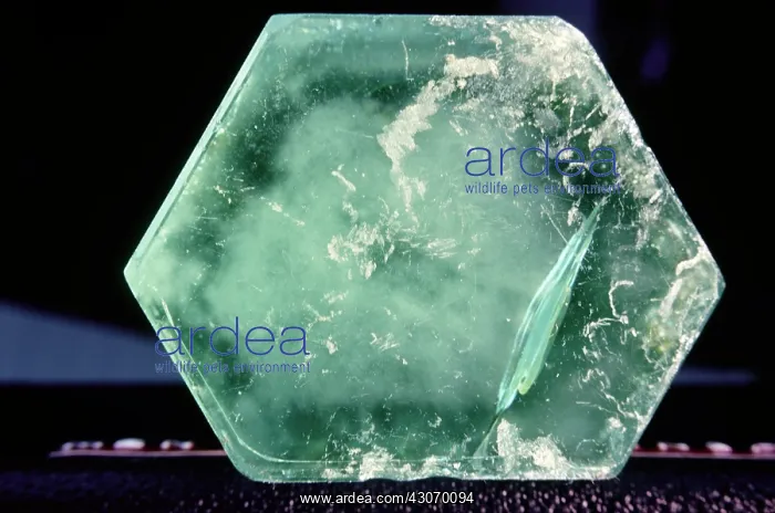  : Beryl (aquamarine) from Brazil