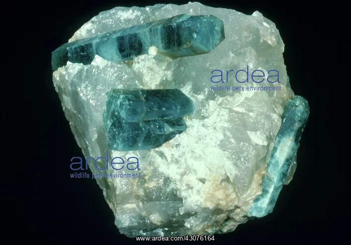 : Beryl crystal in quartz from Minas Gerais, Brazil : Beryl crystal in quartz from Minas Gerais, Brazil