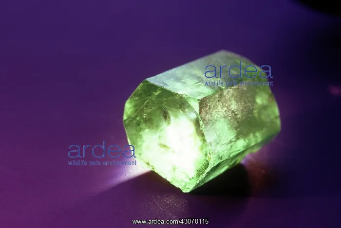 : Beryl, variety emerald, from Colombia : Beryl, variety emerald, from Colombia