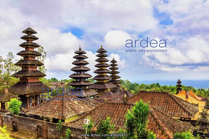 : Besakih Temple is considered the Mother Temple of Bali and : Besakih Temple is considered the Mother Temple of Bali and