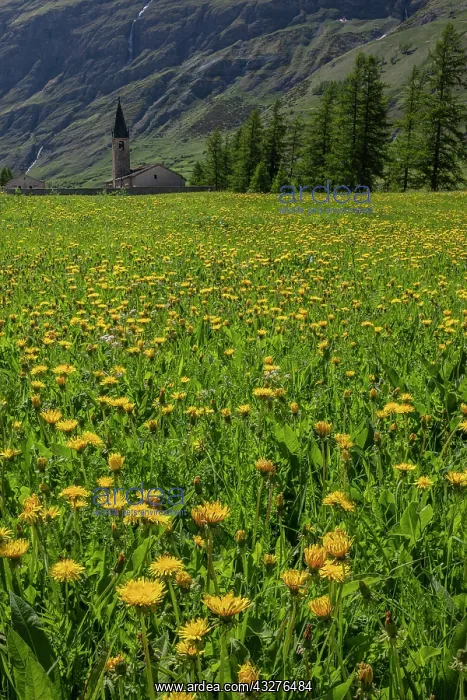 : Bessans church, Leglise de Bessans, viewed across : Bessans church, Leglise de Bessans, viewed across