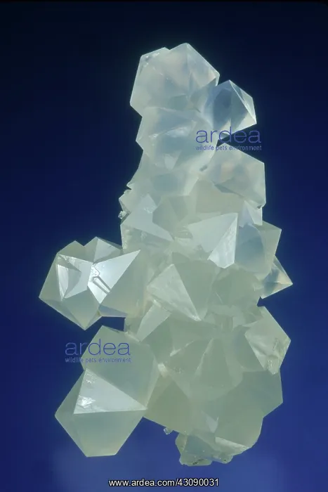 : Beta Quartz : Beta Quartz