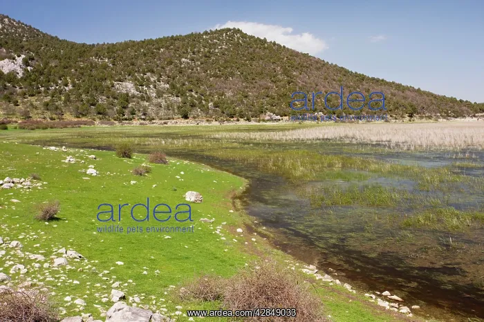 : Beysehir Lake in the Lake District of Central Anatolia : Beysehir Lake in the Lake District of Central Anatolia