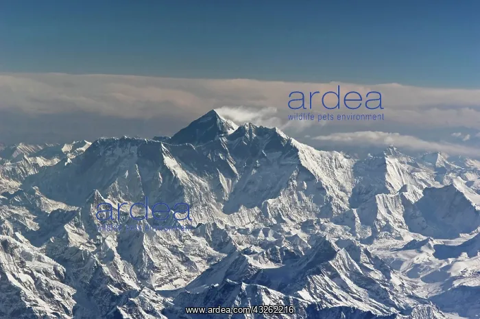 : BHUTAN. Eternal snow on the Everest Mountain : BHUTAN. Eternal snow on the Everest Mountain