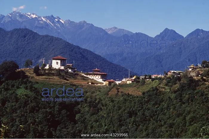 : BHUTAN - SHEMGANG : BHUTAN - SHEMGANG
