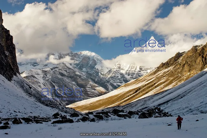 : Bhutanese Guide at Sophu Lake with view : Bhutanese Guide at Sophu Lake with view