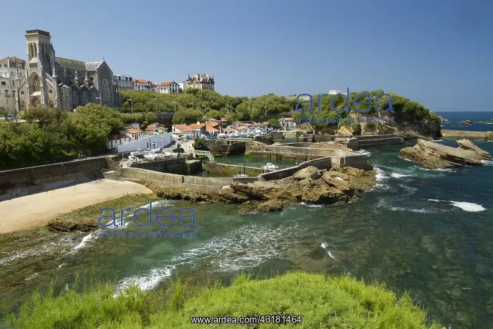 : Biarritz harbour and Sainte-Eug&, x9ba9;e church : Biarritz harbour and Sainte-Eug&, x9ba9;e church