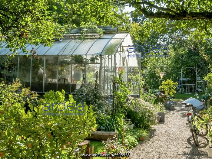 : Bicycle in front of a greenhouse, Jardin Insolite : Bicycle in front of a greenhouse, Jardin Insolite