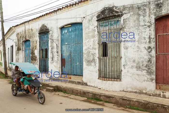 : Bicycle taxi driving past decayed facades of crumbling : Bicycle taxi driving past decayed facades of crumbling