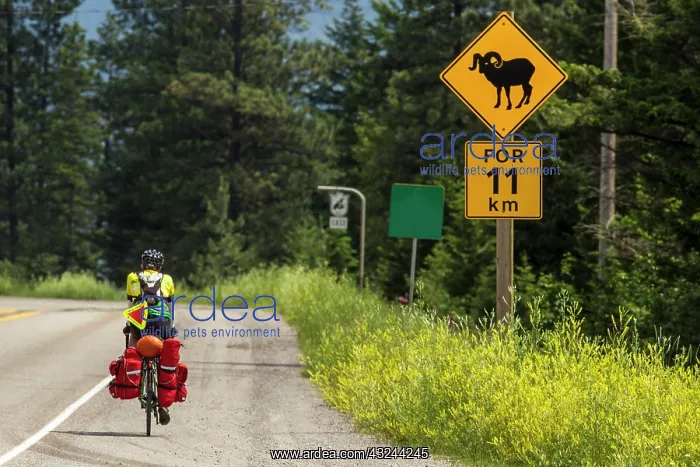 : Bicycle touring on the Adventure Cycling : Bicycle touring on the Adventure Cycling