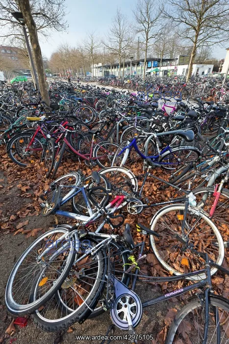 : Bicycles - parked at train station : Bicycles - parked at train station