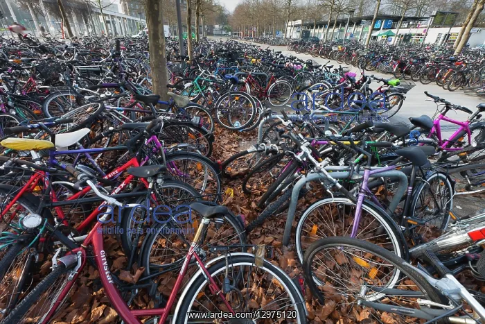 : Bicycles - parked at train station : Bicycles - parked at train station