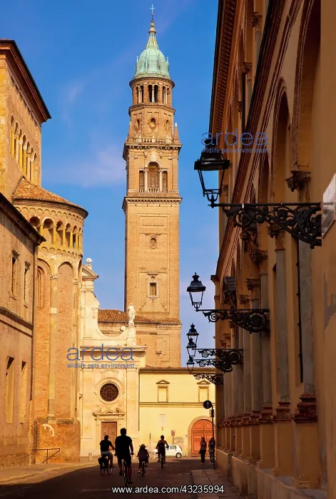 : Bicycling down Via Cardinal Ferrari with : Bicycling down Via Cardinal Ferrari with