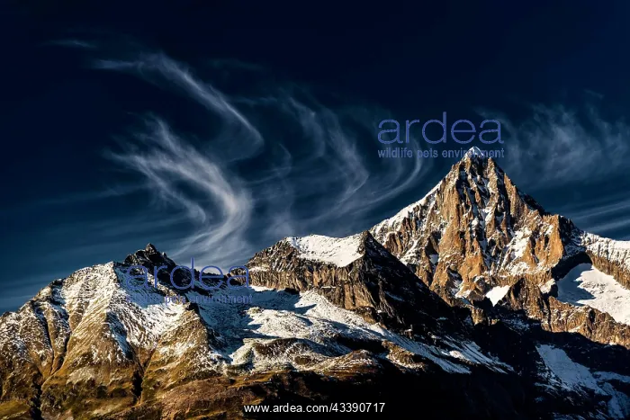 : The Bietschhorn near Visperterminen, Swiss Alps : The Bietschhorn near Visperterminen, Swiss Alps