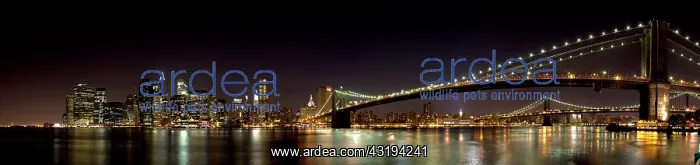 : Big Apple and Brooklyn Bridge, New York, USA, North : Big Apple and Brooklyn Bridge, New York, USA, North