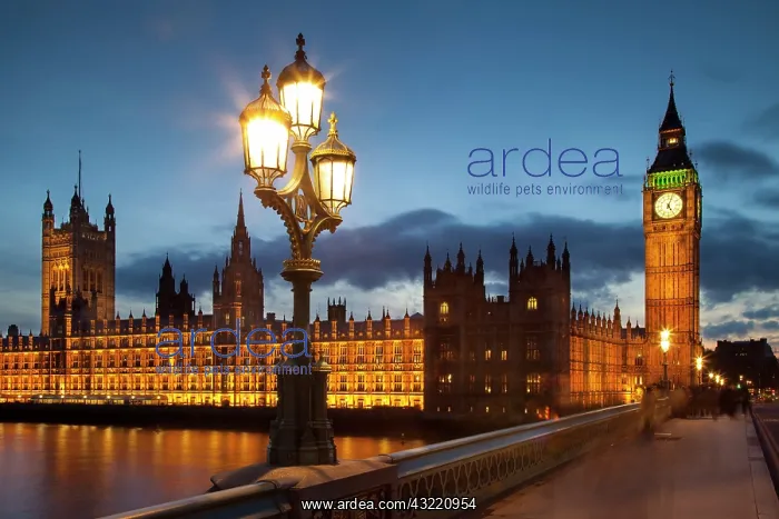 : Big Ben and the Houses of Parliament from : Big Ben and the Houses of Parliament from