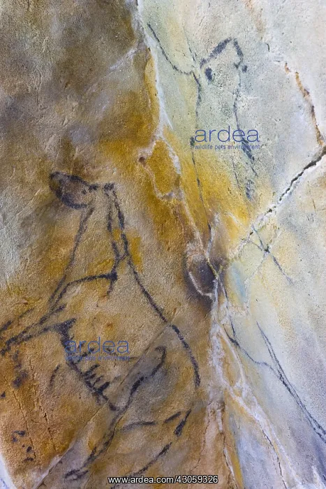 : Big frieze of rock painting Cave of Las Monedas Spain : Big frieze of rock painting Cave of Las Monedas Spain