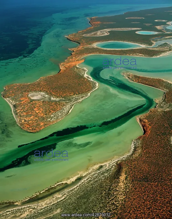 : Big Lagoon Aerial from 2000 feet : Big Lagoon Aerial from 2000 feet