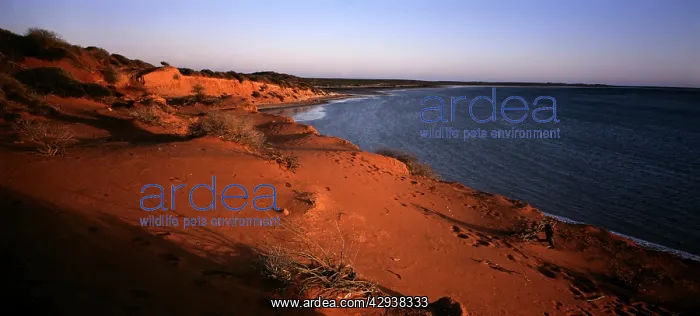 : Big Lagoon area. Francois Peron National Park : Big Lagoon area. Francois Peron National Park