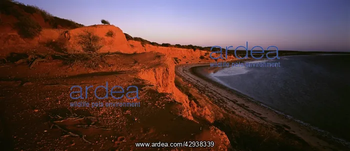 : Big Lagoon area. Francois Peron National Park : Big Lagoon area. Francois Peron National Park