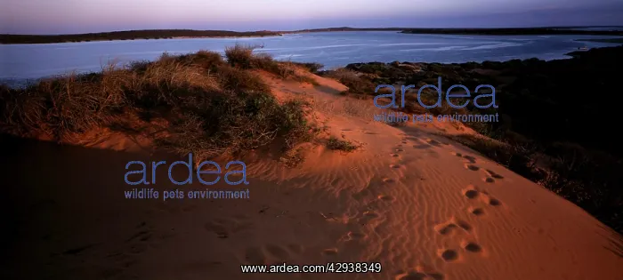 : Big Lagoon area. Francois Peron National Park : Big Lagoon area. Francois Peron National Park