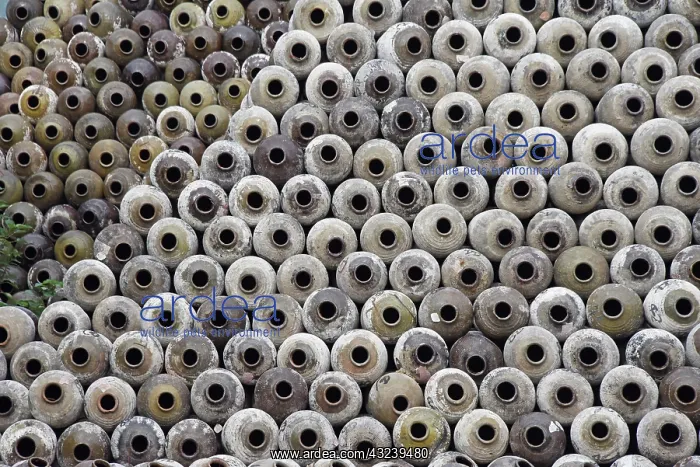 : Big pile of wine jars in a winery, Zhejiang Province, China : Big pile of wine jars in a winery, Zhejiang Province, China