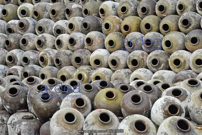 : Big pile of wine jars in a winery, Zhejiang Province, China : Big pile of wine jars in a winery, Zhejiang Province, China