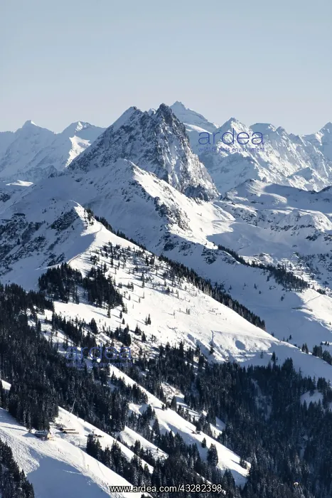 : Big Rettenstein in Winter, Tyrol, Austria, Europe : Big Rettenstein in Winter, Tyrol, Austria, Europe