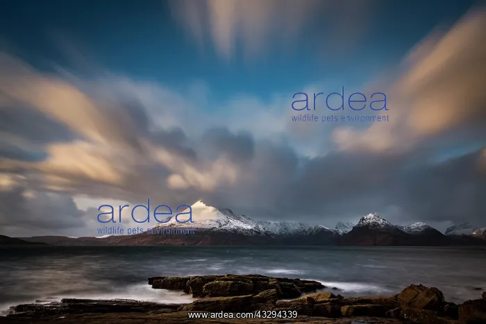 : Big rocks in the water of the North Sea with snow-covered : Big rocks in the water of the North Sea with snow-covered