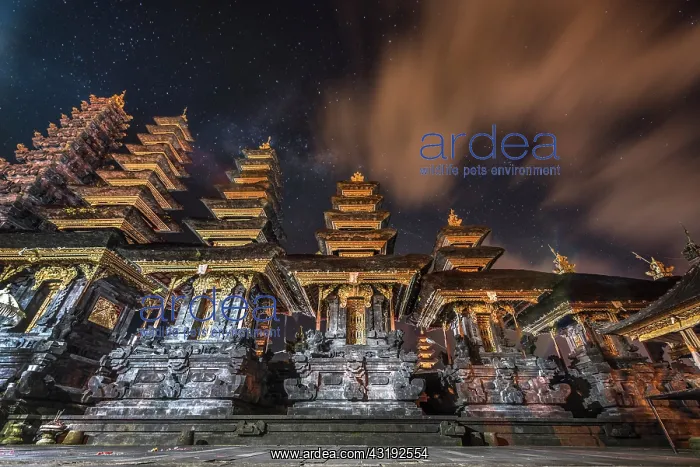 : The Biggest Complex Temples in Bali on the slopes : The Biggest Complex Temples in Bali on the slopes