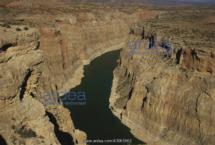 : Bighorn Canyon : Bighorn Canyon