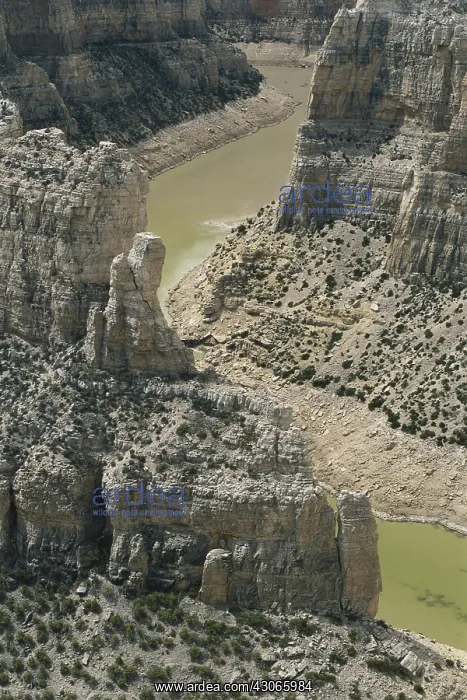 : Bighorn Canyon : Bighorn Canyon