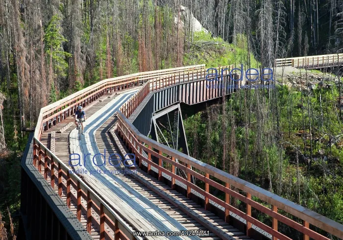 : Biker rides across trestle in Myra Canyon : Biker rides across trestle in Myra Canyon